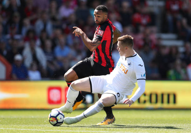 展带来了新 展带来了新